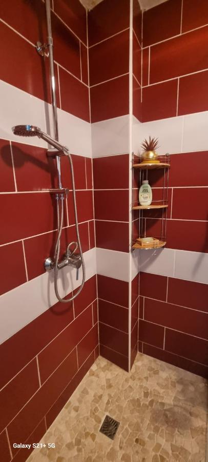 Rosa Solarium 97 Daire Sainte-Anne  Dış mekan fotoğraf